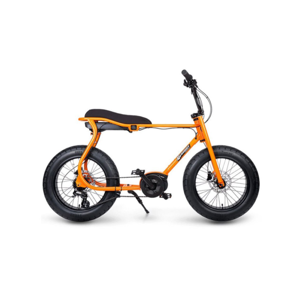 RUFF CYCLES LIL’BUDDY BOSCH ACTIVE LINE 300WH